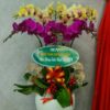 Graceful Orchid Planter - 0039