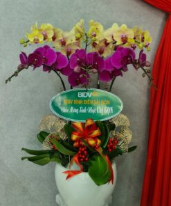 Graceful Orchid Planter - 0039