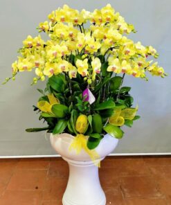 Luxury Orchid Bloom Pot - 0040