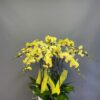 Orchid Blossom Planter - 0041