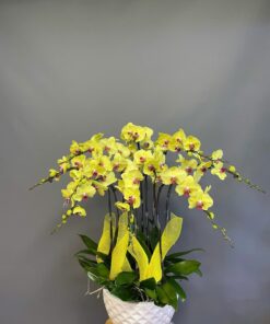 Orchid Blossom Planter - 0041