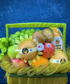 Vibrant Fruits - 0050