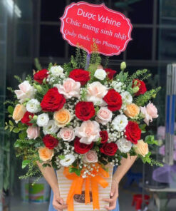 Hoa Hồng Nhung - 0090